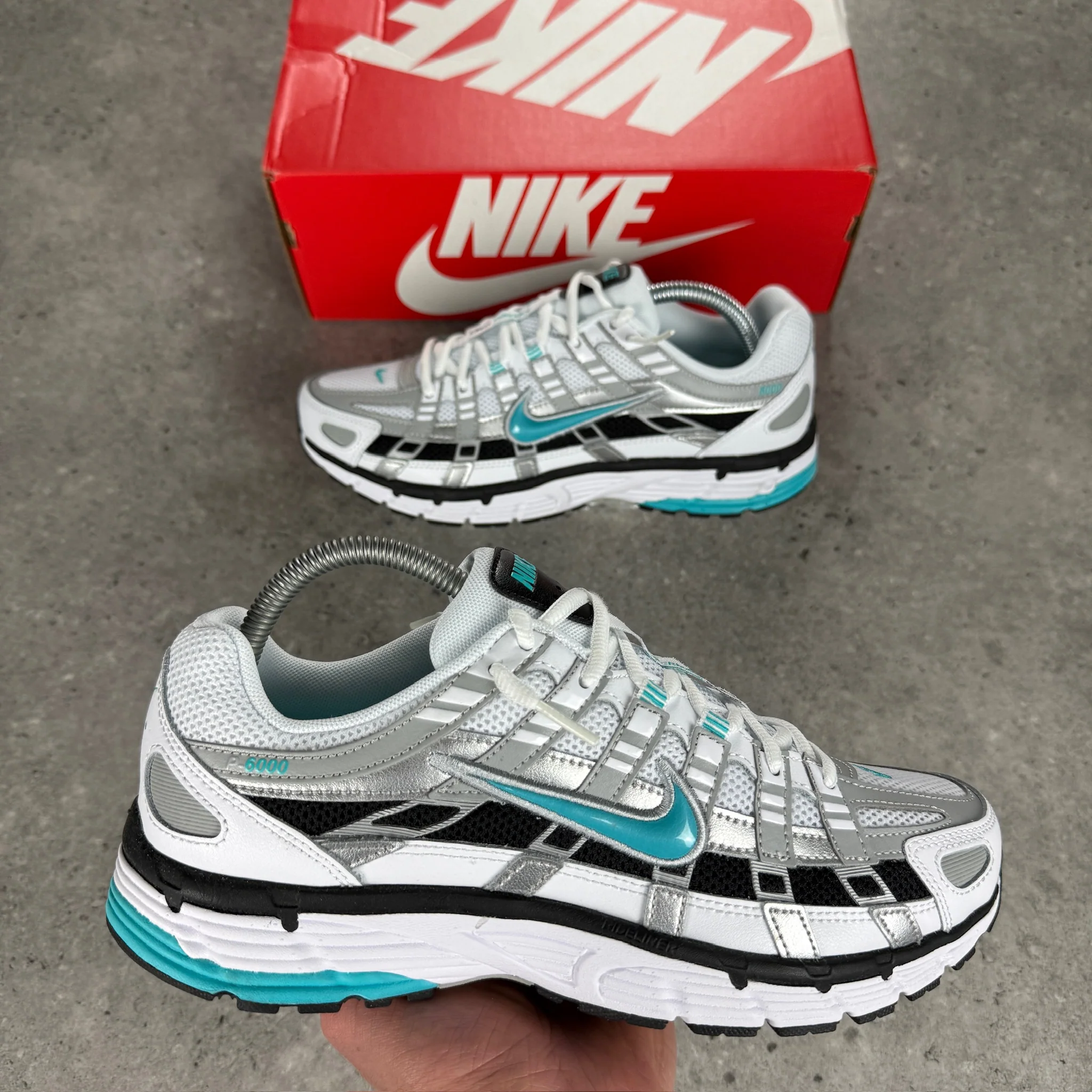 Nike Dusty Cactus P6000